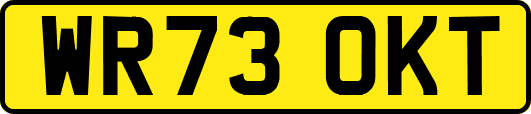 WR73OKT