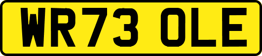 WR73OLE