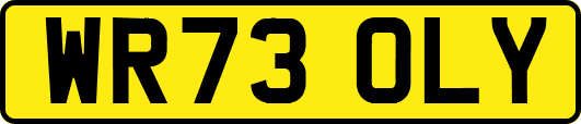 WR73OLY
