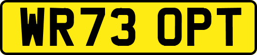 WR73OPT