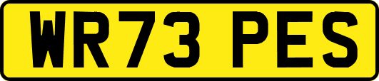 WR73PES