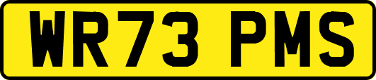 WR73PMS