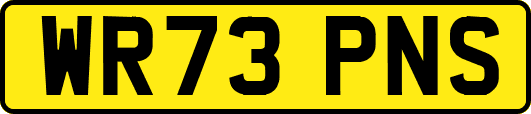 WR73PNS