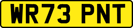 WR73PNT