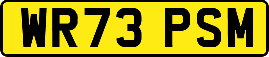 WR73PSM