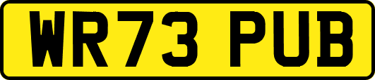 WR73PUB