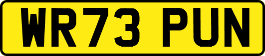 WR73PUN
