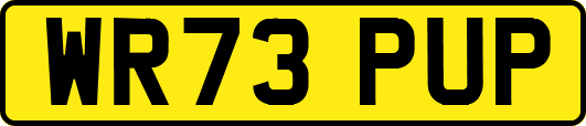 WR73PUP