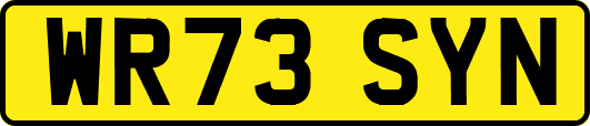 WR73SYN