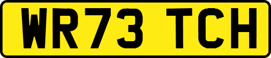 WR73TCH