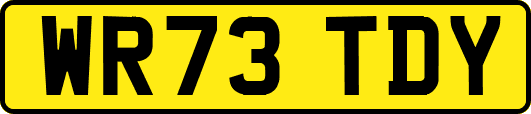 WR73TDY