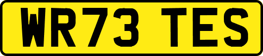 WR73TES