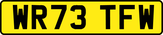WR73TFW