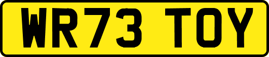 WR73TOY
