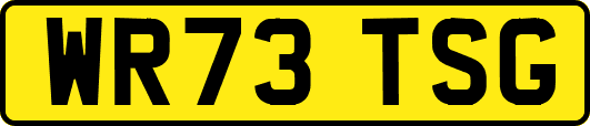 WR73TSG