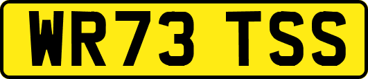 WR73TSS