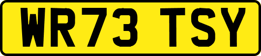 WR73TSY