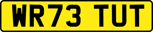 WR73TUT