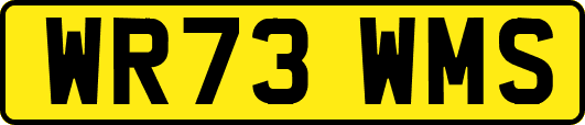 WR73WMS