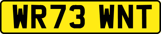 WR73WNT