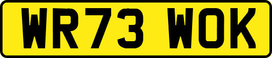 WR73WOK