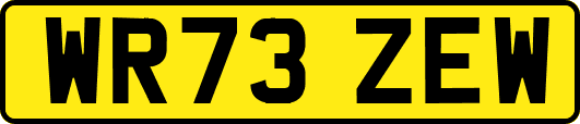 WR73ZEW