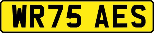 WR75AES