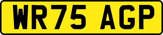 WR75AGP