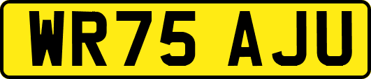 WR75AJU