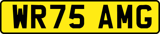 WR75AMG