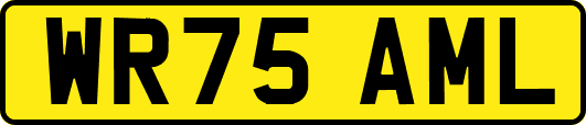 WR75AML