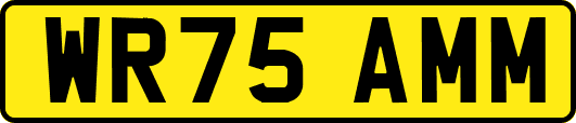WR75AMM