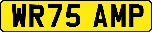 WR75AMP