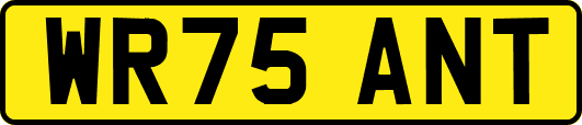 WR75ANT