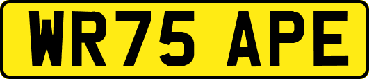 WR75APE