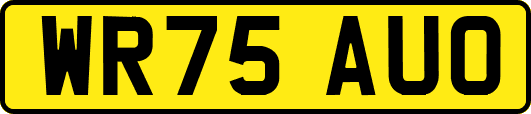 WR75AUO