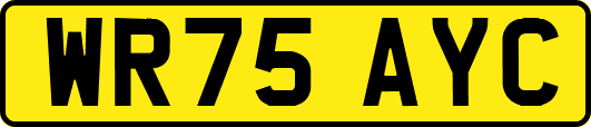WR75AYC