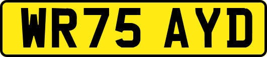 WR75AYD