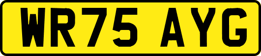 WR75AYG