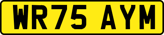WR75AYM