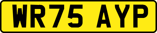 WR75AYP