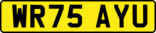 WR75AYU
