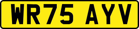 WR75AYV