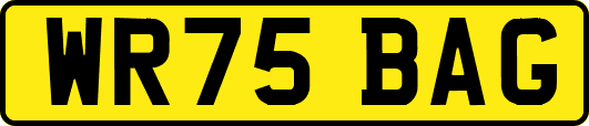 WR75BAG