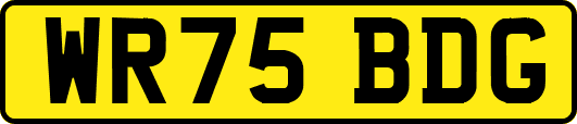 WR75BDG