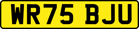 WR75BJU