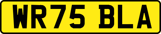 WR75BLA