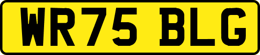WR75BLG
