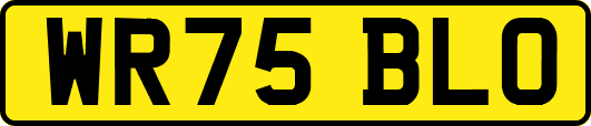 WR75BLO
