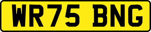 WR75BNG